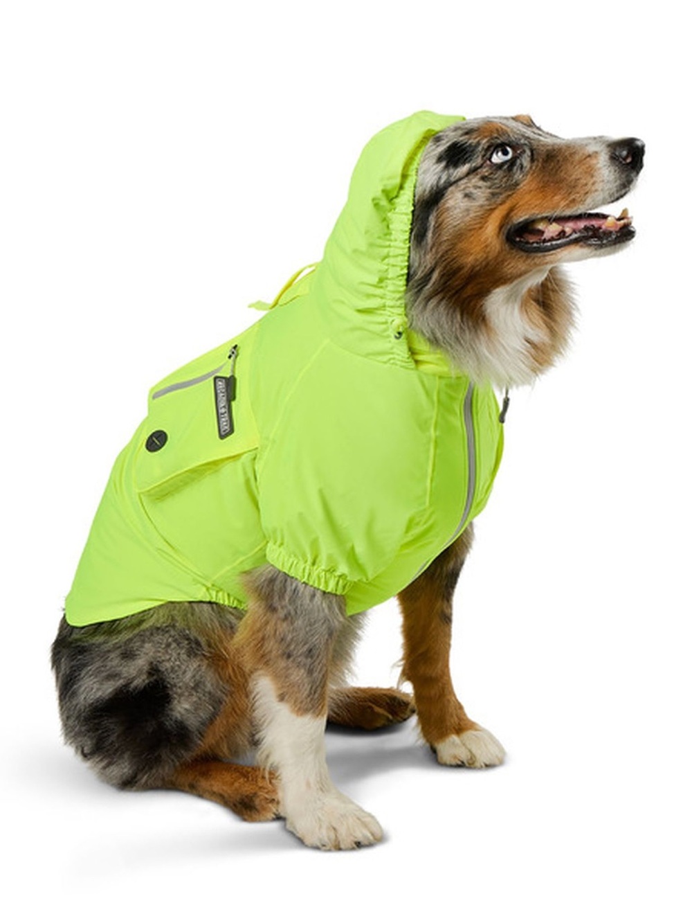 Arcadia Trail® Waterproof Dog Windbreaker Jacket